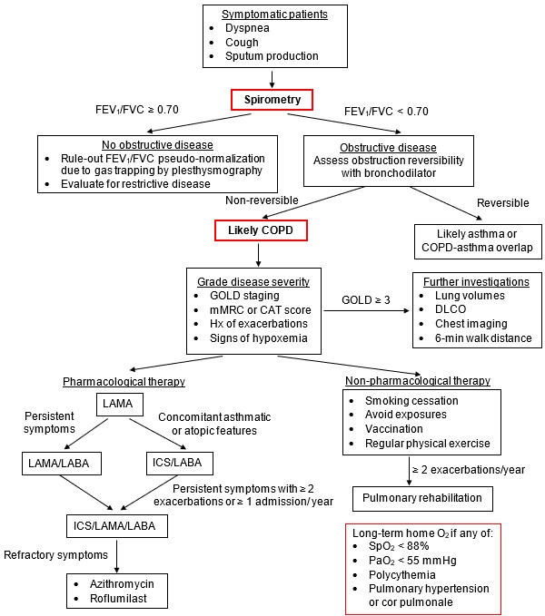 Approach to chronic obstructive pulmonary disease (COPD)