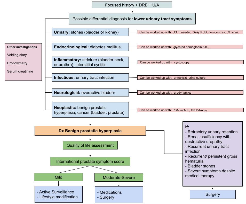 Management of Lower Urinary Tract Symptoms Secondary to Benign Prostatic Hyperplasia
