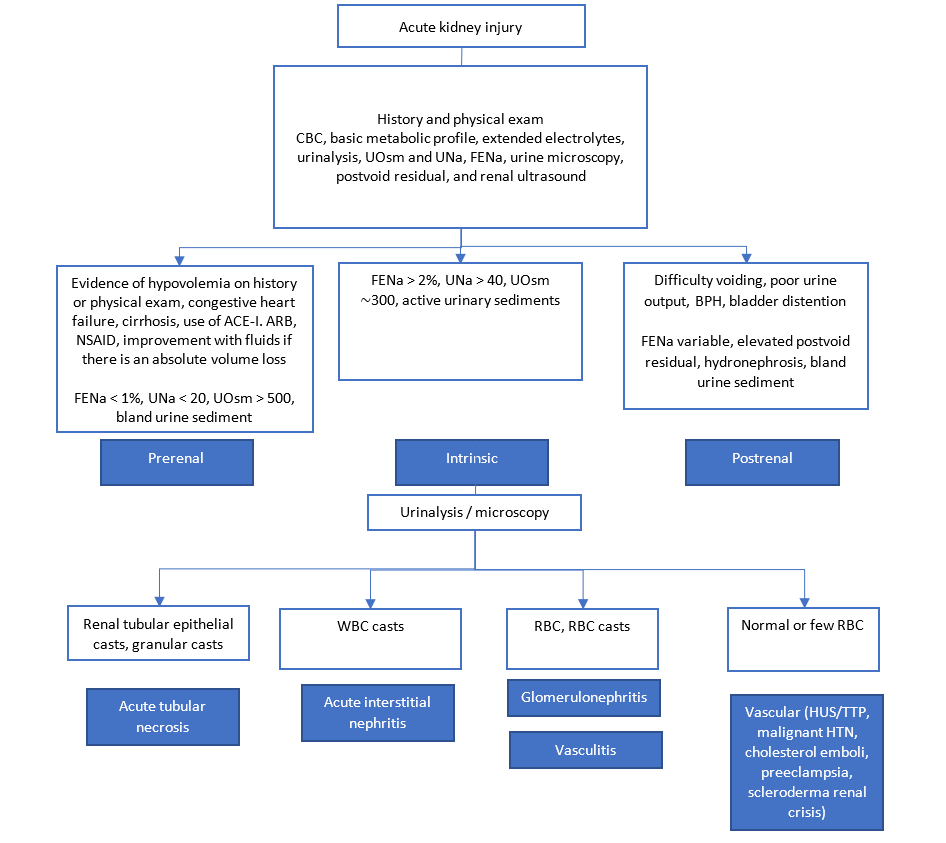 Acute Kidney Injury