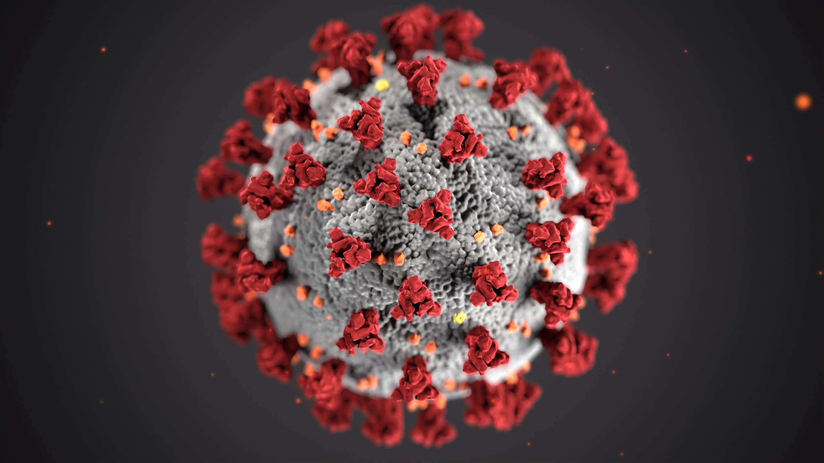 Unsplash - This illustration, created at the Centers for Disease Control and Prevention (CDC), reveals ultrastructural morphology exhibited by coronaviruses.